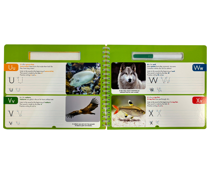 Write and Wipe Practice Flip Book: ABC 123 (Scholastic Early Learners) image 4