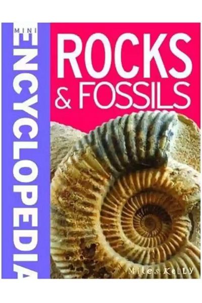 Mini Encyclopedia - Rocks & Fossils