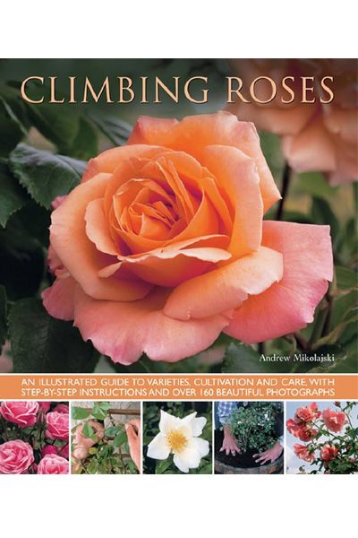 Climbing Roses