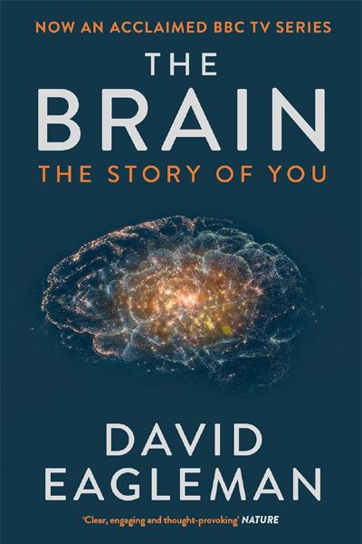 The Brain: The Story of You