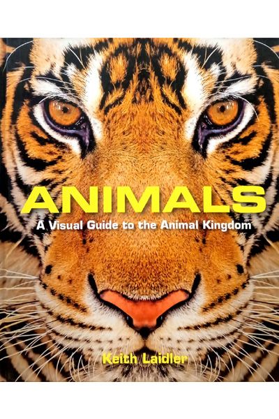 Animals (A Visual Guide to the Animal Kingdom) H/B