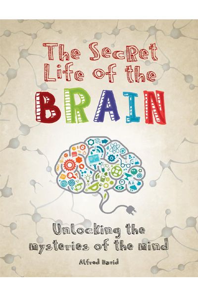 The Secret Life Of The Brain