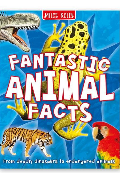 Miles Kelly: Fantastic Animal Facts