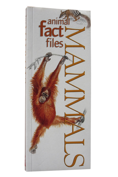 Animal Fact Files: Mammals