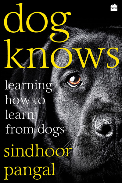 Dog Knows: Learning How to Learn from Dogs