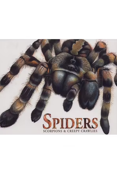 Spiders: Scorpions & Creepy Crawlies