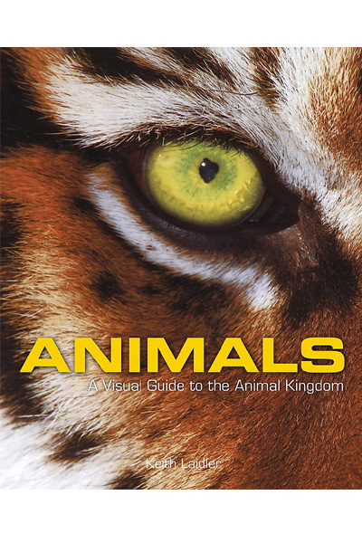 Animals: A Visual Guide to the Animal Kingdom
