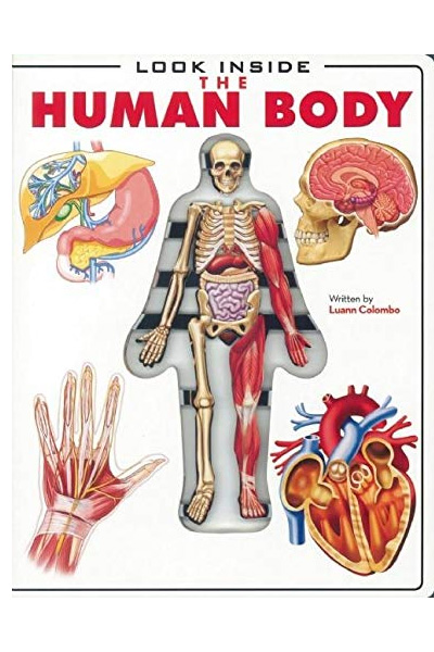 Look Inside : The Human Body (Board Book)