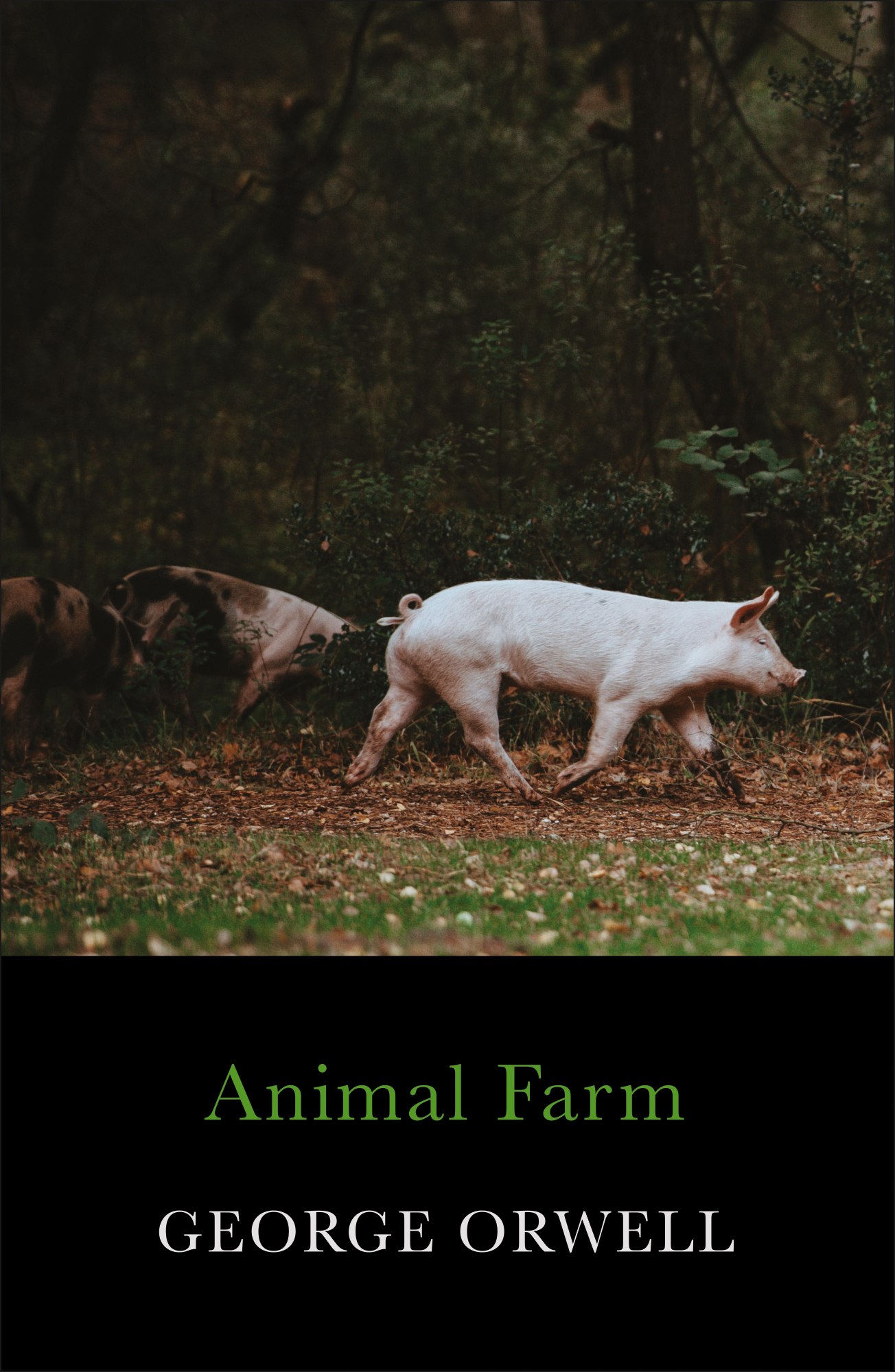 CE : Animal Farm