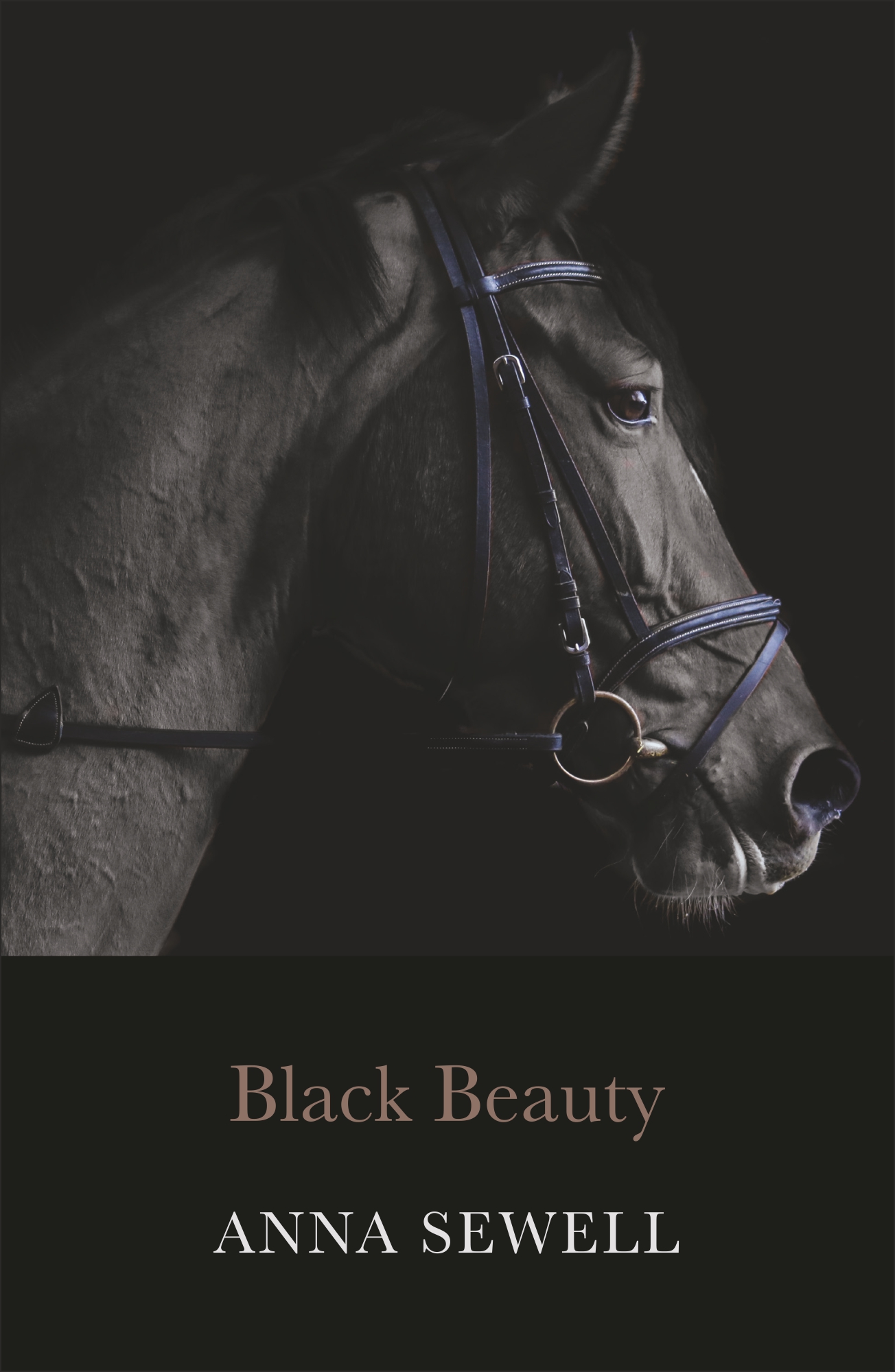 CE : Black Beauty