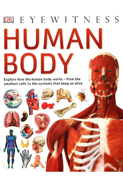 DK Eyewitness : Human Body
