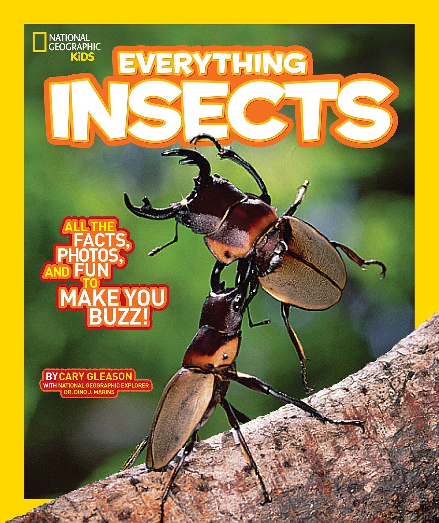 Everything: Insects (National Geographic Kids)
