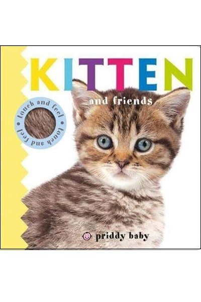 Kitten and Friends: Touch & Feel : Board Book