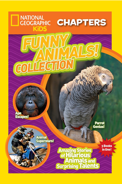 National Geographic Kids: Funny Animals! Collection: Amazing Stories of  Hilarious Animals and Surprising Talents Books - Bargain Book Hut Online