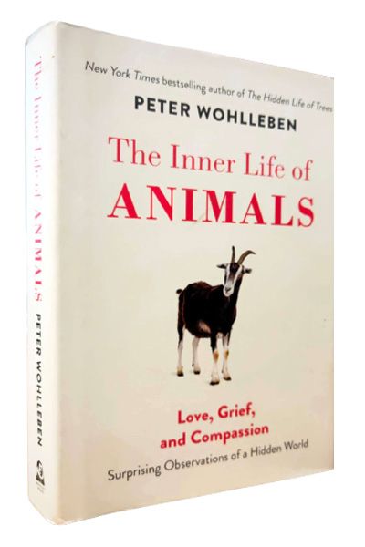 The Inner Life of Animals: Surprising Observations of a Hidden World -  Bargain Book Hut Online