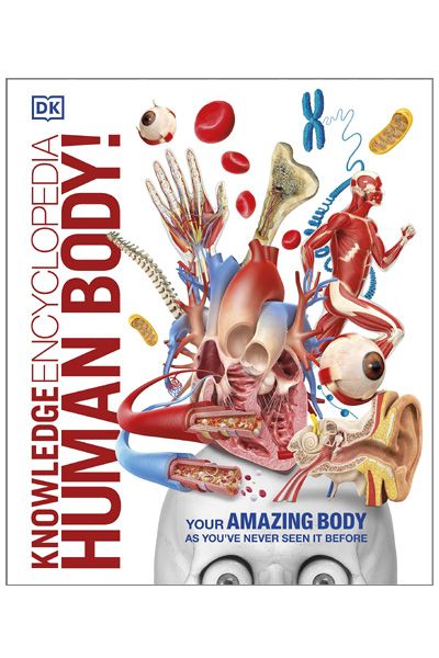 DK: Knowledge Encyclopedia - Human Body!