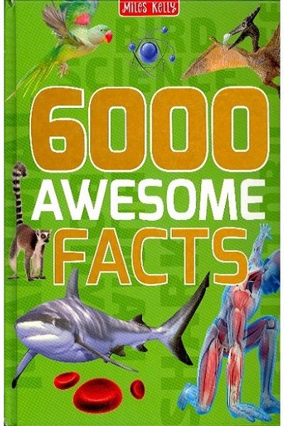 Miles Kelly: 6000 Awesome Facts