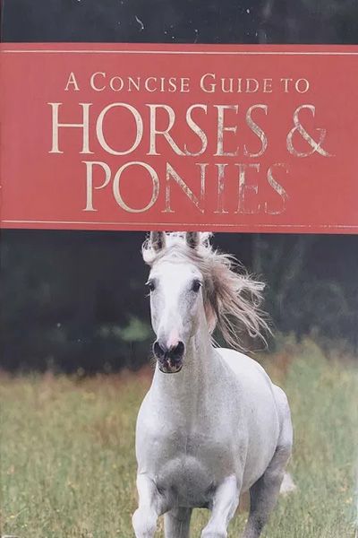 A Concise Guide to Horses and Ponies