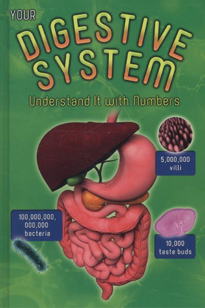 Your Digestive System: Understand it with Numbers