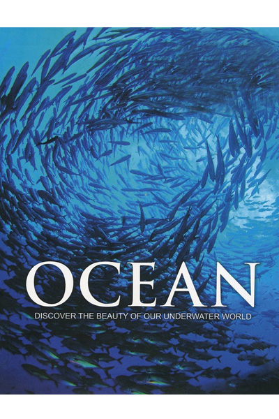 Ocean: Discover the Beauty of Our Underwater World