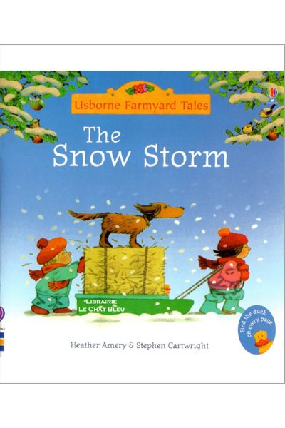 Usborne: The Snow Storm