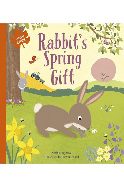 Rabbit's Spring Gift (A Year In Nature)