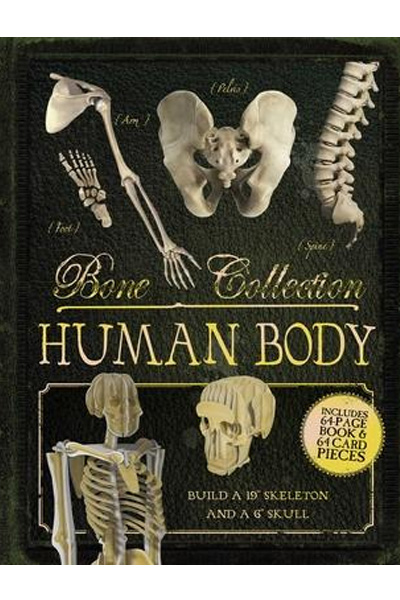 Bone Collection: Human Body